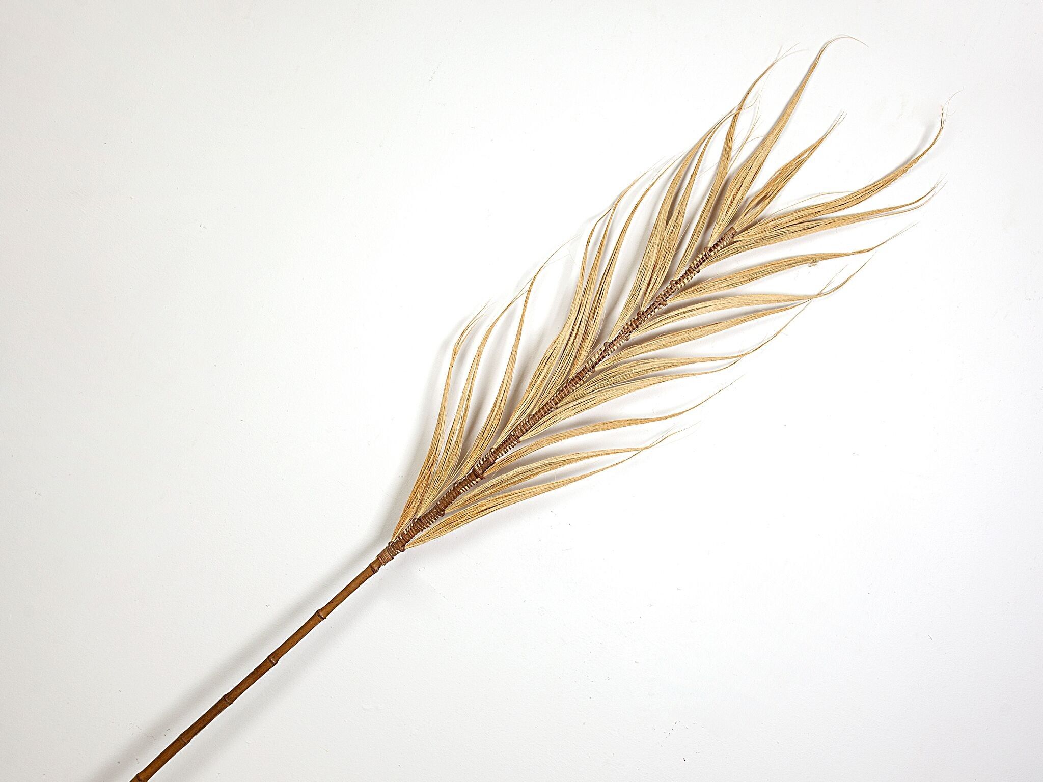 FILIALE NATURALE DI RAYUNG HM472469