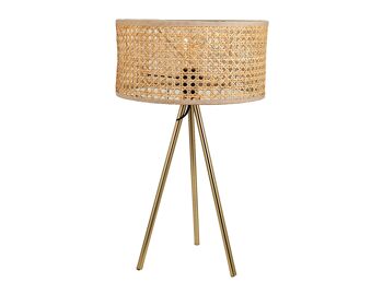 LAMPE DE TABLE AVEC ABAT-JOUR EN OSIER 30X30X52CM HM843161