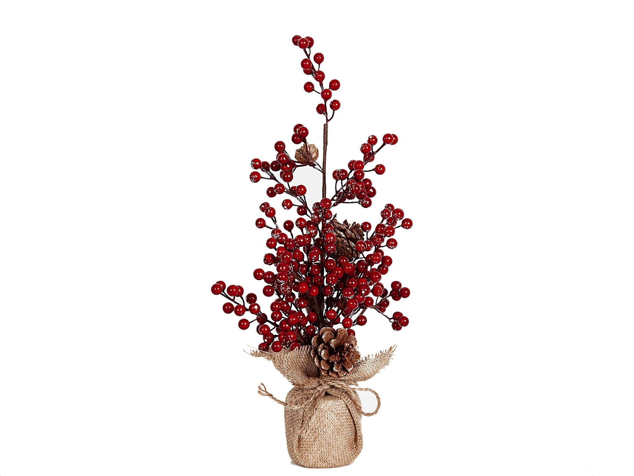 VASO DI VISCHIO CON ANANAS HM91108