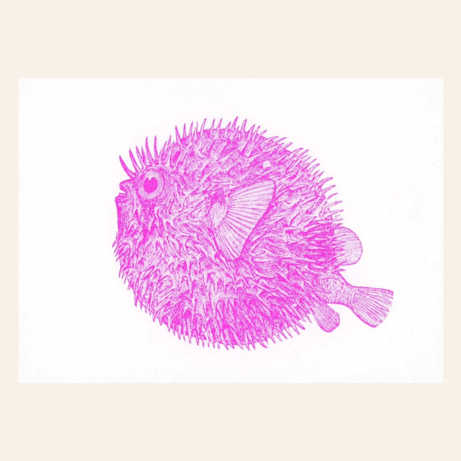 Cartolina Risograph – Pesce istrice – DIN A6