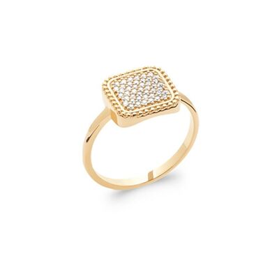 INARI Ring in Gold Plated and Zirconium
