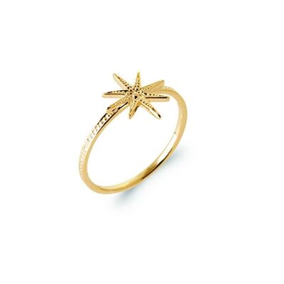 INARI Ring in Gold Plated