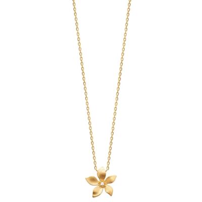 LILY Necklace in Gold Plated and Zirconium