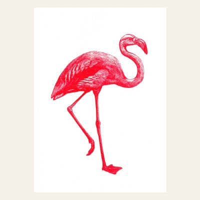 FLAMINGO