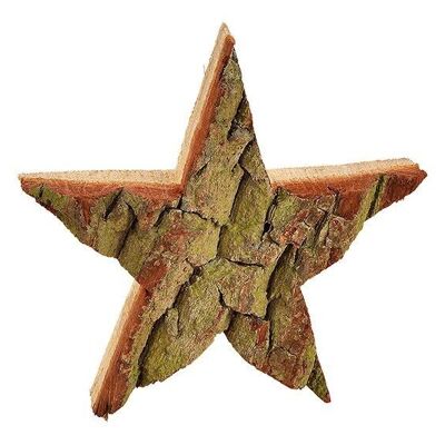 Star wood bark made of wood natural (W / H / D) 15x15x3cm