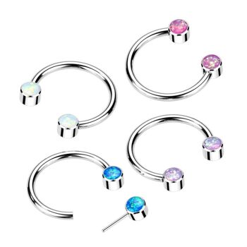 Piercing Fer à Cheval en Titane et Zirconium