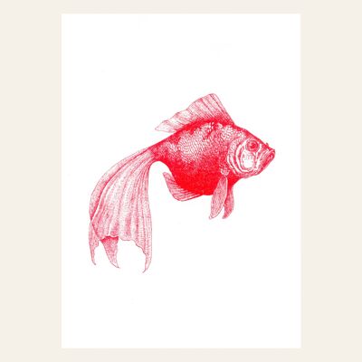 Barnfish