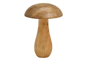 Bois de manguier marron champignon (L / H / P) 12x17x12cm