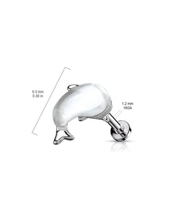 Piercing Labret Oreille WALES en Acier et Résine 9