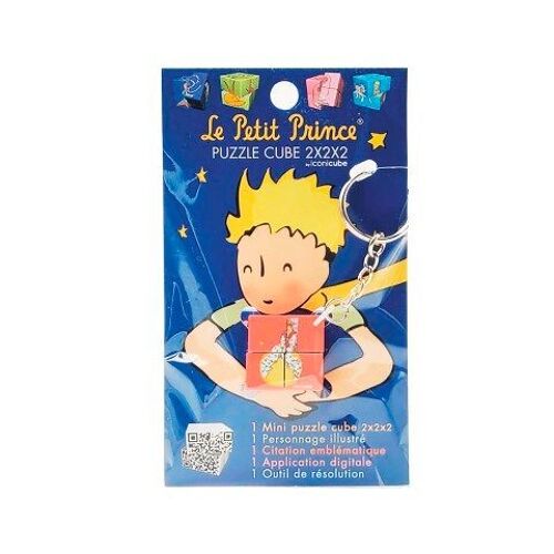 Puzzle Le Petit Prince outils