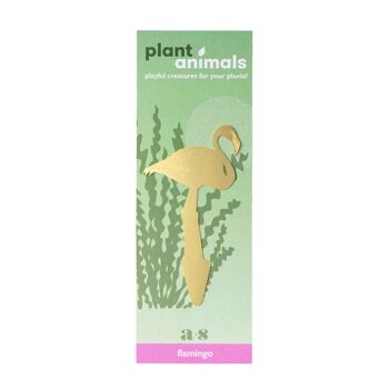 Plante Animal Flamant 2