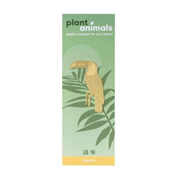 Plante Animal Toucan Laiton 3
