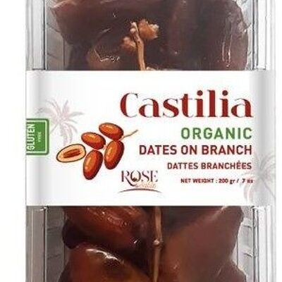 ORGANIC – Branched Dates Plastic Box 200Gr FR-BIO-01