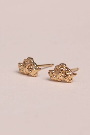 Boucles d'oreilles Rachel 1