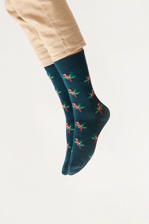Bio-Socken mit Papageien - Grüne Socken mit buntem Papagei-Muster, Tropical Parrot