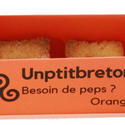 Bretonische Kuchen UNPTITBRETON ORANGE x2