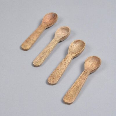 Mango Wood Classic Measuring Spoon (Set of 4)