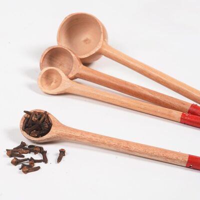 Hand Carved Neem Wood Red Measuring Spoons (set of 4)