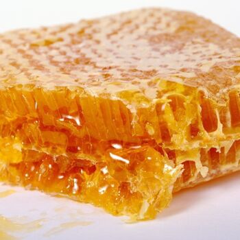 Miel avec nid d'abeille #31 5