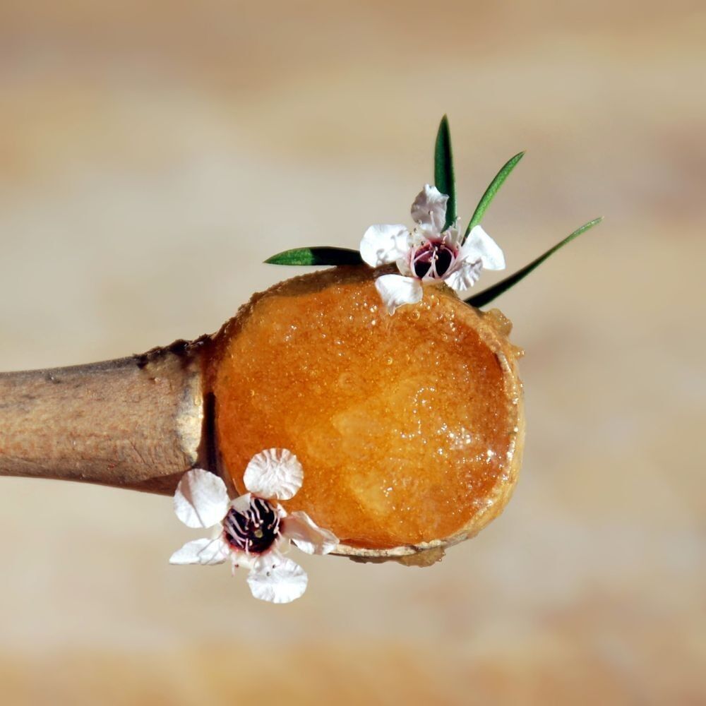 Manuka Honey #31