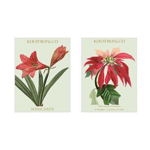 Minicards christmas - Poinsettia