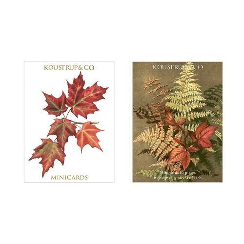Minicards autumn - Ferns