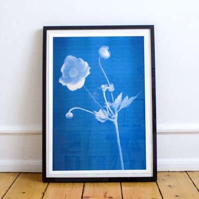 Artprint Poster Anemone