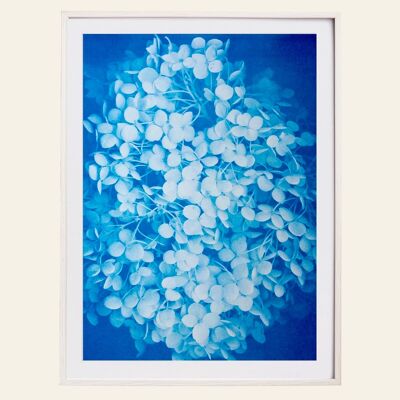 Risography – Artprint Poster – Hydrangea – DIN A3