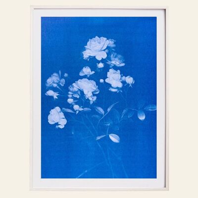 Risography – Artprint Poster – Rose – DIN A3