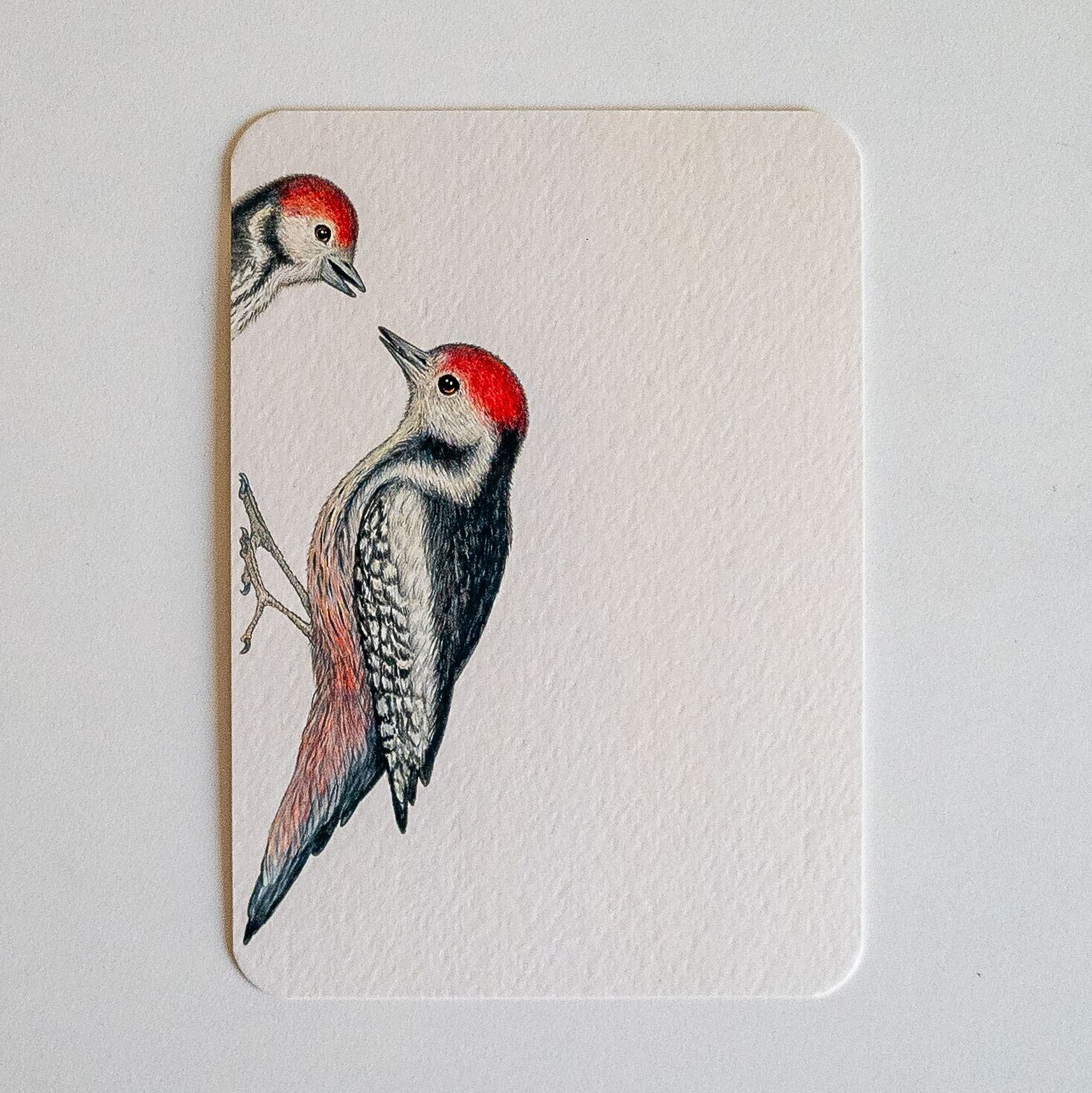 Cartolina TOCCA TOCCA, CHI C'È