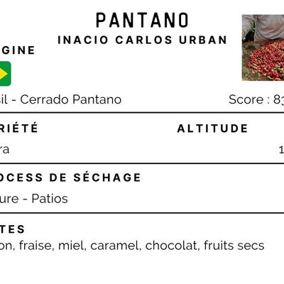 Café Brésil Cerrado Pantano 100% Arabica