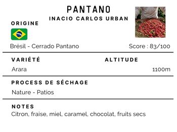Café Brésil Cerrado Pantano 100% Arabica 1