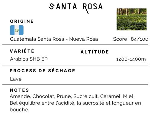 Café Guatemala Santa Rosa 100% Arabica