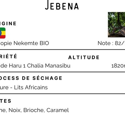Café Bio Ethiopie Jebena 100% Arabica