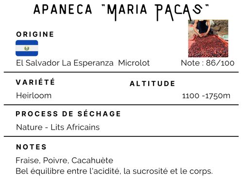 Café Microlot El Salvador Apaneca "Maria Pacas" 100% Arabica