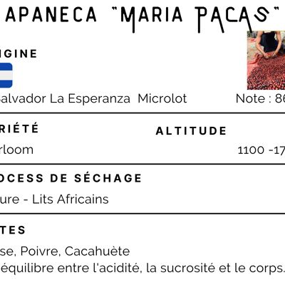 Microlot El Salvador Apaneca Coffee "Maria Pacas" 100% Arabica