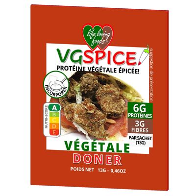 VGSPICE DONER