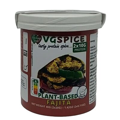 VGSPICE FAJITA