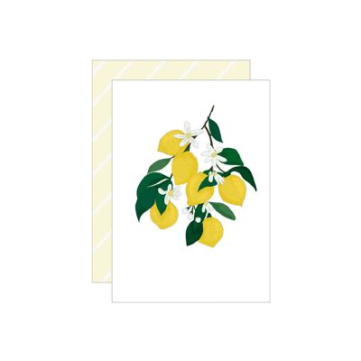 Citron | Carte pliée