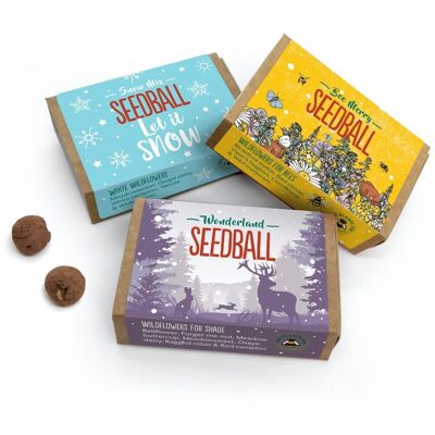 Wildflower Stocking Filler Seed Boxes