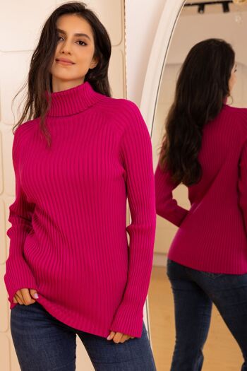 Pull en maille  à col roulé avec manches longues , coupe régular 1