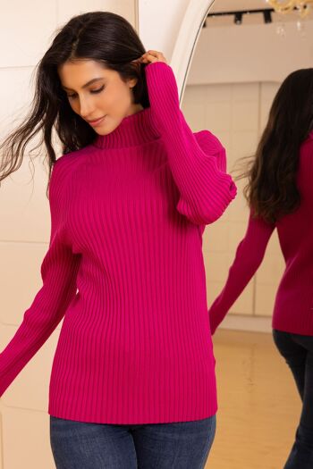 Pull en maille  à col roulé avec manches longues , coupe régular 4