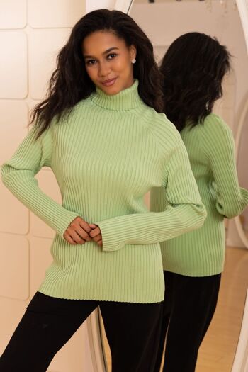 Pull en maille  à col roulé avec manches longues , coupe régular 1