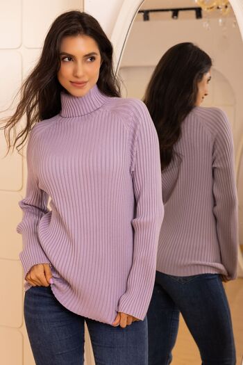 Pull en maille  à col roulé avec manches longues , coupe régular 1