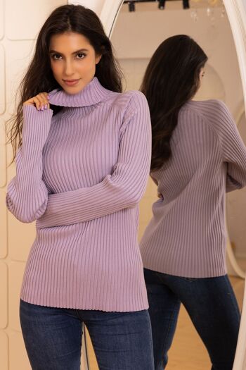 Pull en maille  à col roulé avec manches longues , coupe régular 5