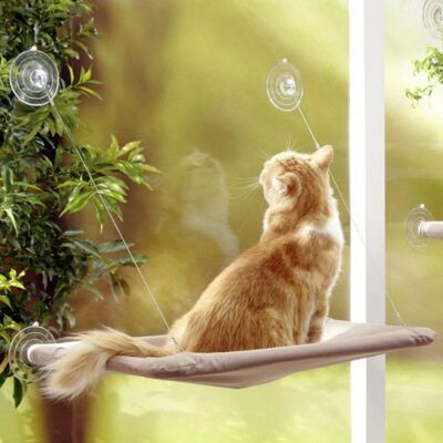 Cama para gatos - Hamaca con ventana para gatos