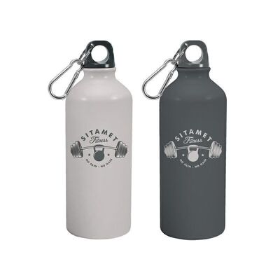 BOTELLA ALLUMINIO 770ML PALESTRA 2M HH2879152