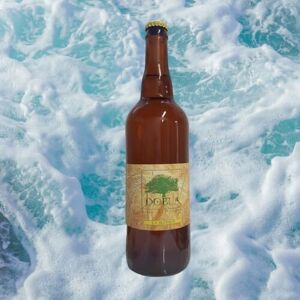 Bière Artisanale Bio Blonde 5% 75cl