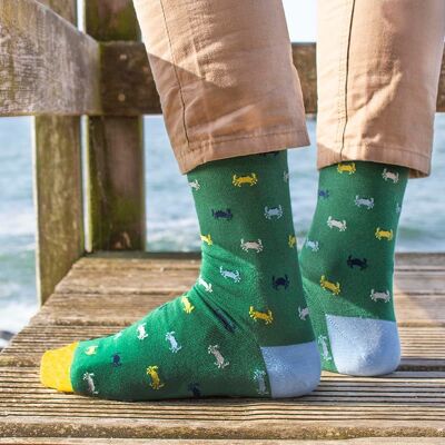 Green mix Nécoras socks