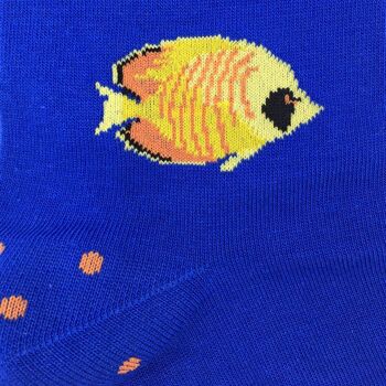 Chaussettes poissons tropicaux 3